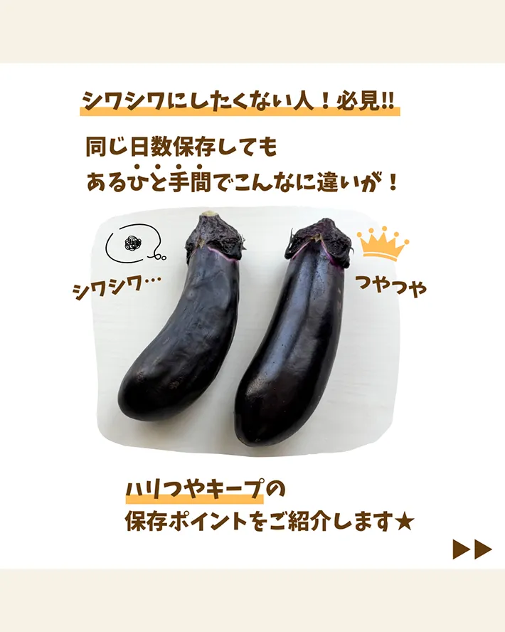 ナスの保存術
