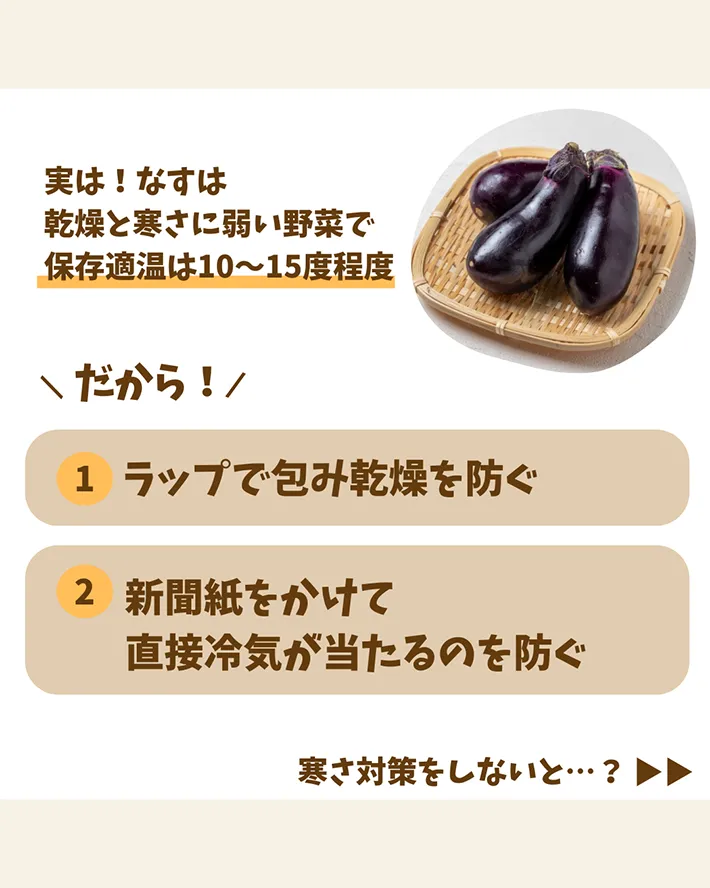 ナスの保存術