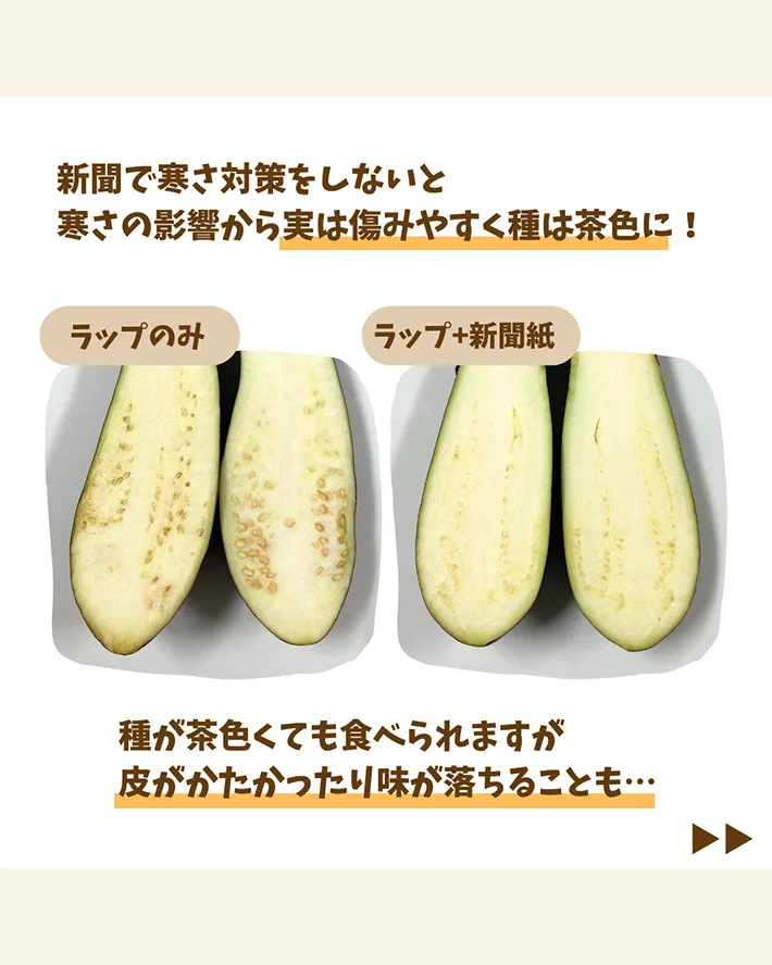 ナスの保存術