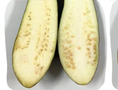 ナスの保存術