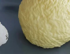 おにぎり