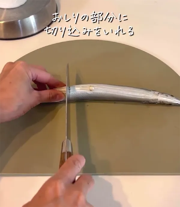 サンマの画像