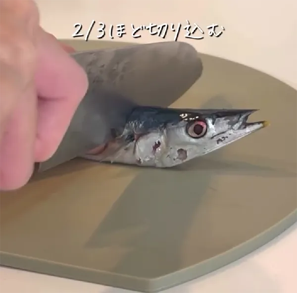 サンマの画像