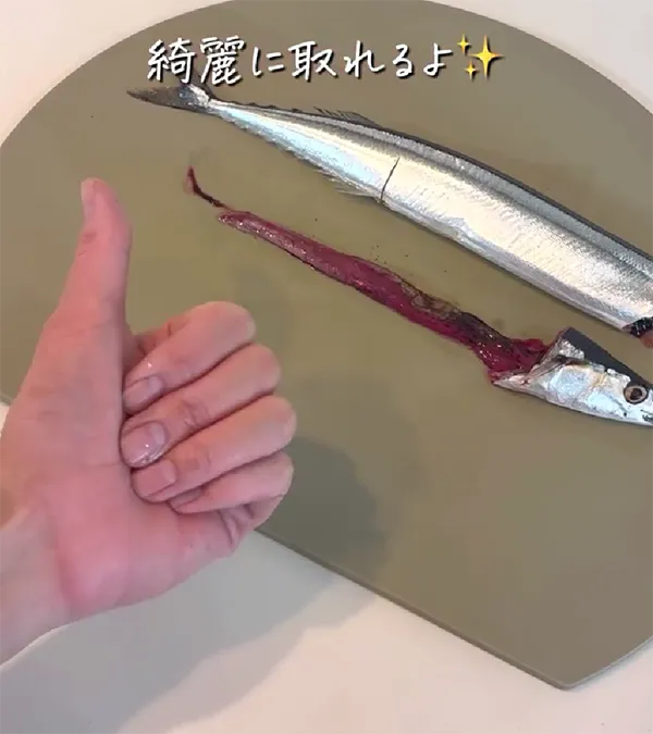 サンマの画像