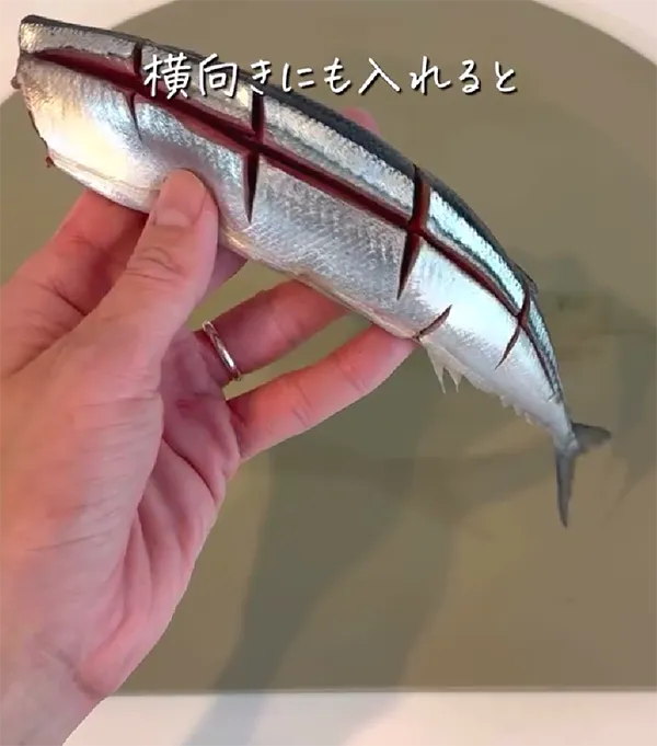 サンマの画像