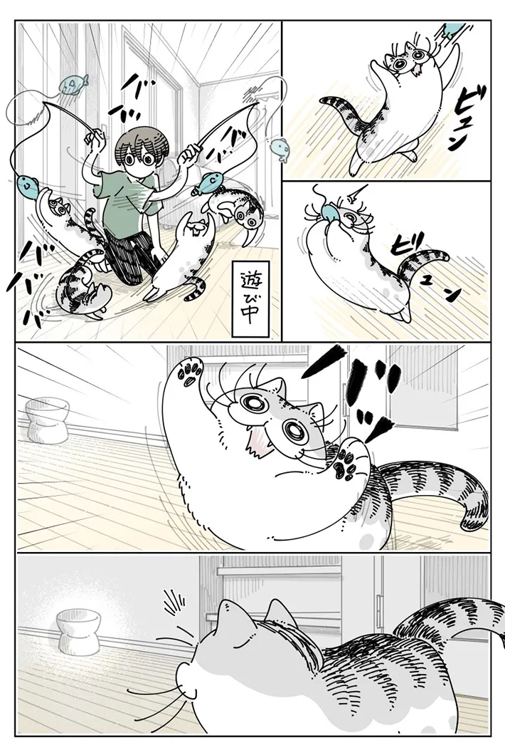 キュルZ（@kyuryuZ）さんが自身の体験をもとに描いた、猫のキュルガと飼い主を描いた漫画