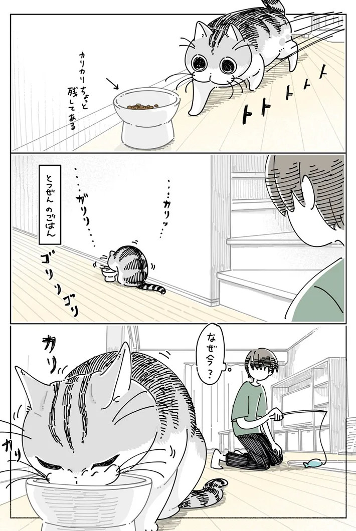 キュルZ（@kyuryuZ）さんが自身の体験をもとに描いた、猫のキュルガと飼い主を描いた漫画