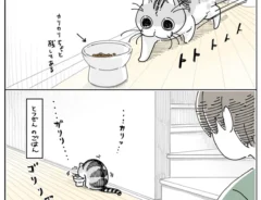 キュルZ（@kyuryuZ）さんが自身の体験をもとに描いた、猫のキュルガと飼い主を描いた漫画