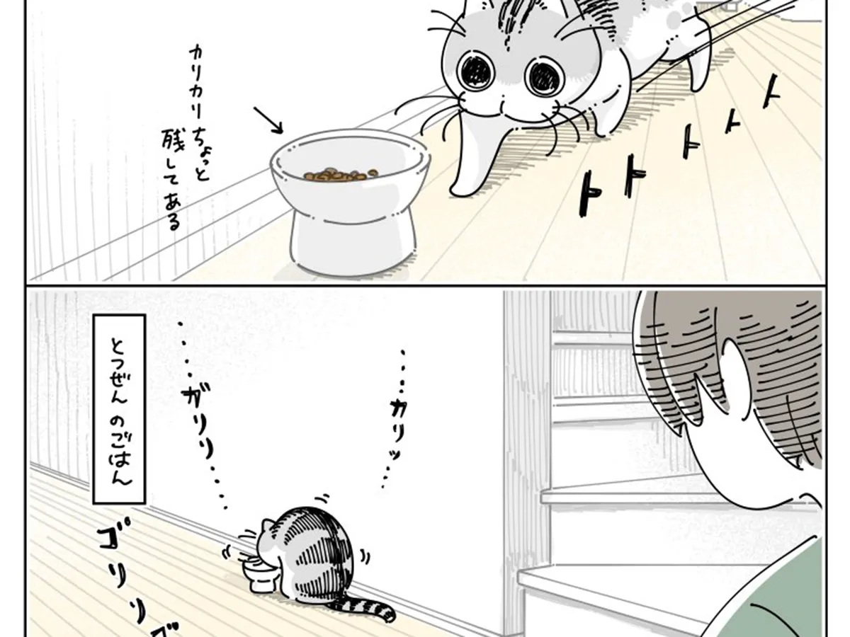 キュルZ（@kyuryuZ）さんが自身の体験をもとに描いた、猫のキュルガと飼い主を描いた漫画