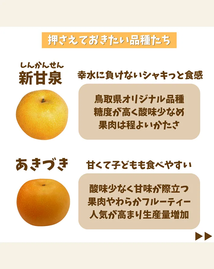 東京多摩青果株式会社が解説した『梨の品種の違い』