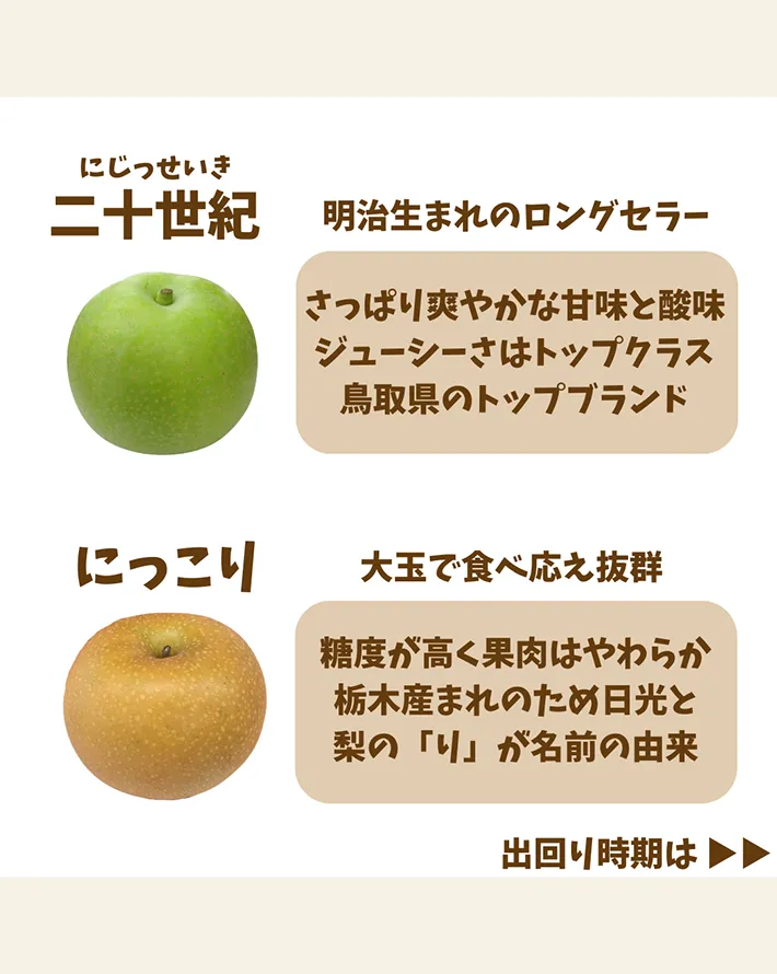 東京多摩青果株式会社が解説した『梨の品種の違い』