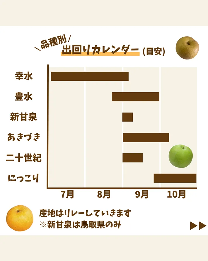 東京多摩青果株式会社が解説した『梨の品種の違い』