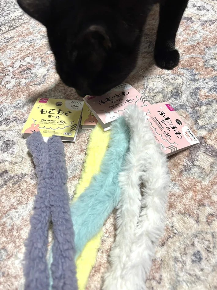 モール