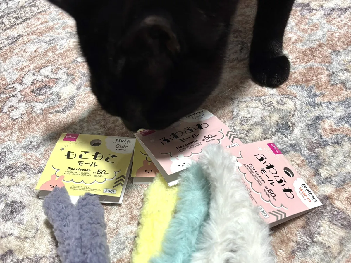 モール