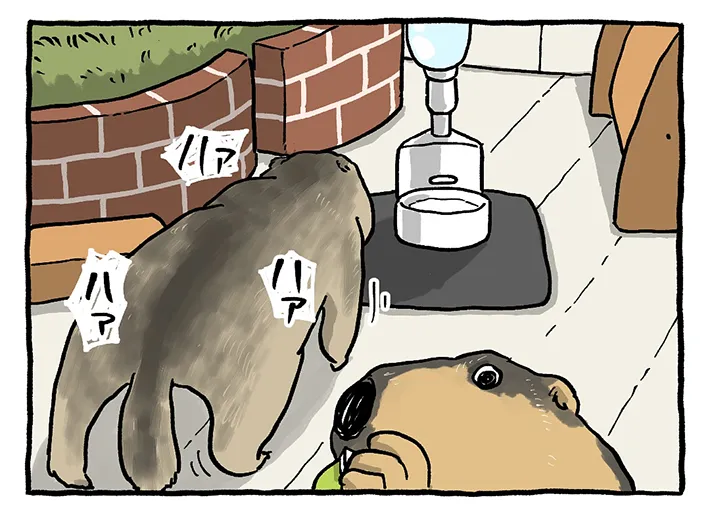 漫画の画像