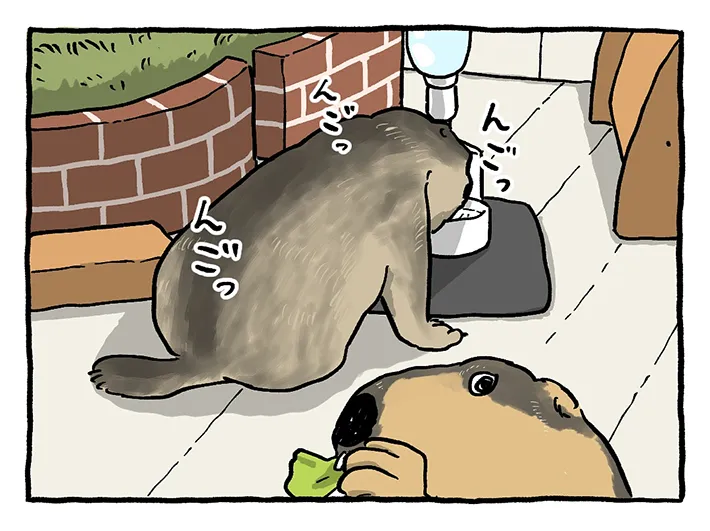 漫画の画像