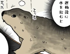 漫画の画像