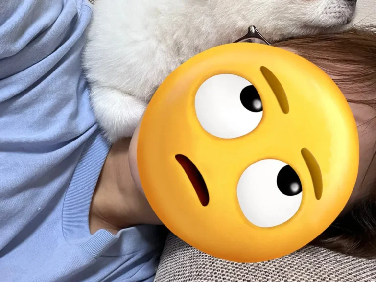 犬の画像