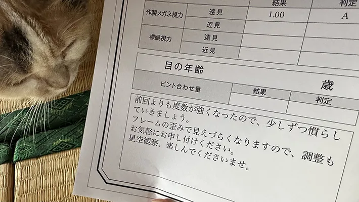視力検査の結果の紙