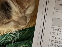 診断結果の紙