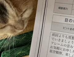診断結果の紙