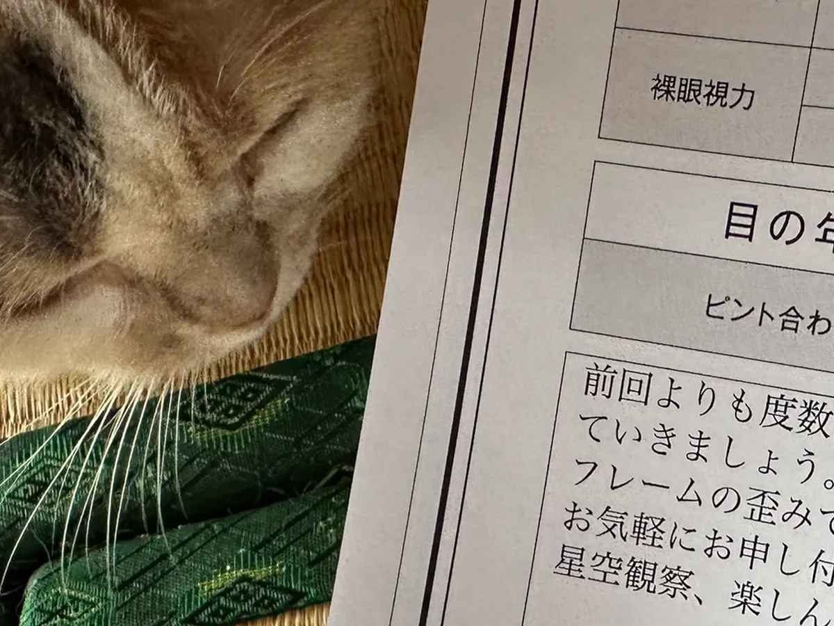 診断結果の紙