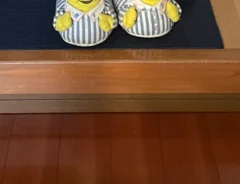 実家の画像