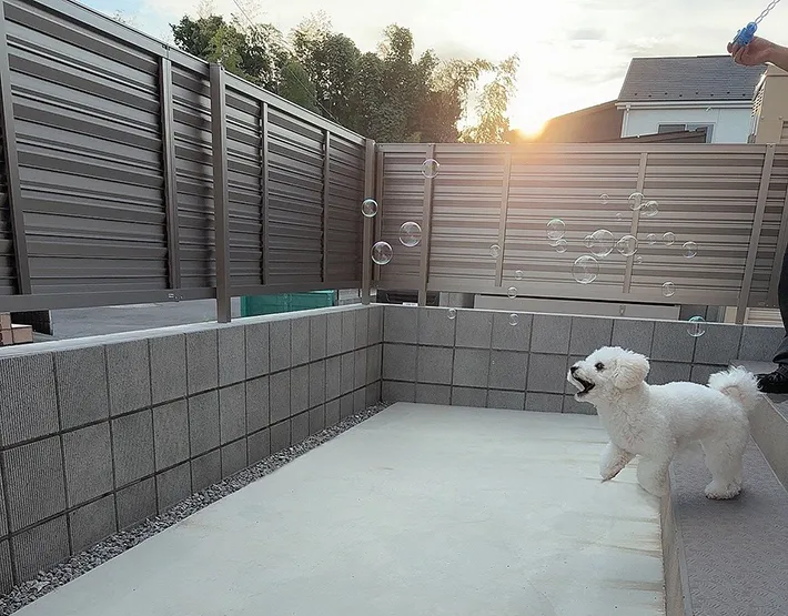 犬の画像