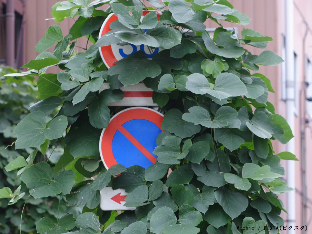 道路標識