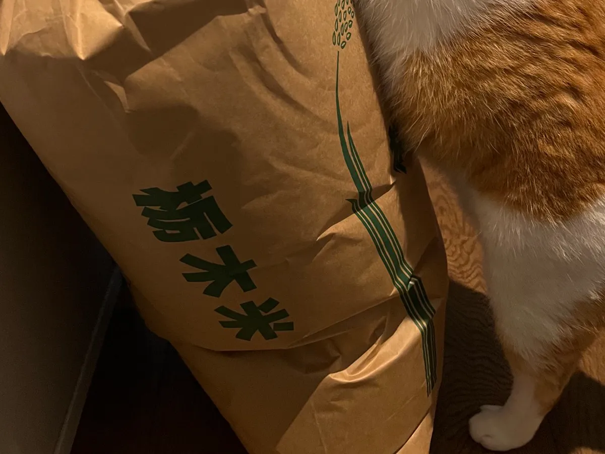 猫と米袋の写真