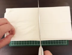 ティッシュの画像
