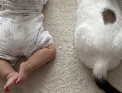 猫と赤ちゃん