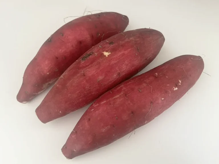 サツマイモの写真（撮影：grape編集部）