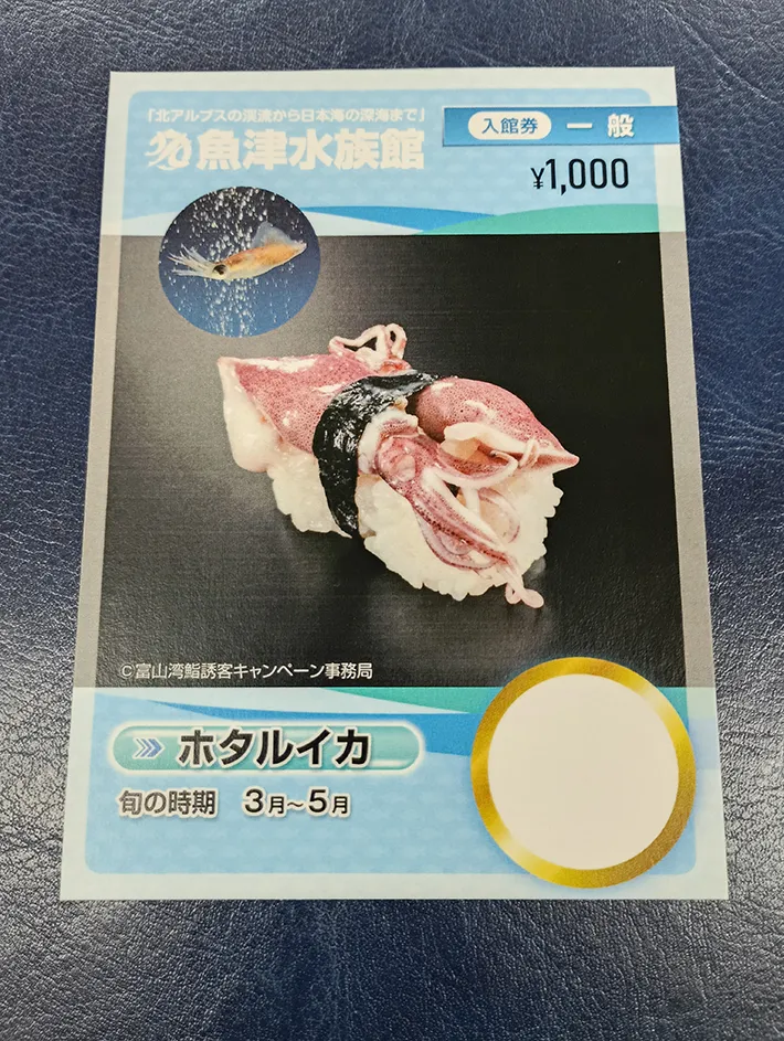 魚津水族館の写真