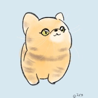 亀ぽまの写真