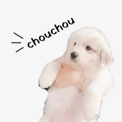 山奥暮らしのシュシュの写真