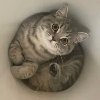 いわし先生の写真