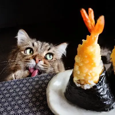 MARCOの写真