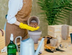 鉢底石の代用には何がある？身近なアイテムの代用品を紹介！