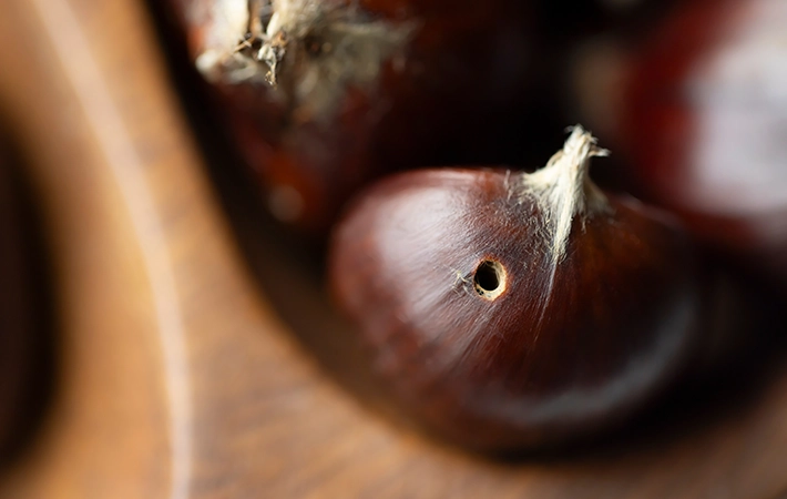 栗に虫がいるか確認する方法