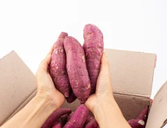 さつまいもは変色しても食べられる？変色の理由や防ぐ方法も解説