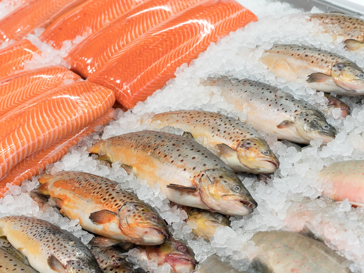 冷凍した魚の賞味期限は？腐敗の見分け方と日持ちさせる方法を解説