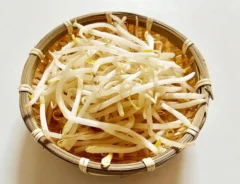 もやしの写真（撮影：エニママ）