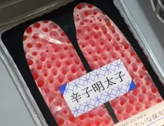 辛子明太子風保冷剤の写真（撮影：grape編集部）