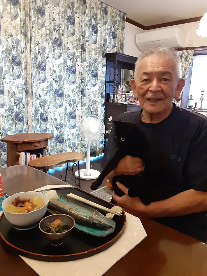 猫の画像