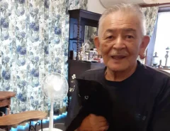 猫の画像