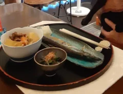 猫の画像