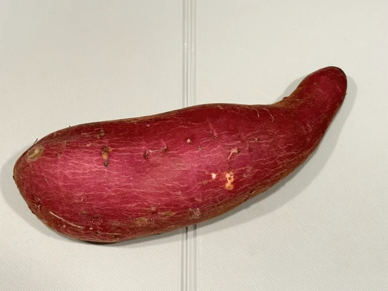 サツマイモの写真（撮影：grape編集部）