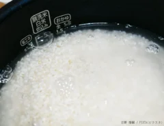 米の写真