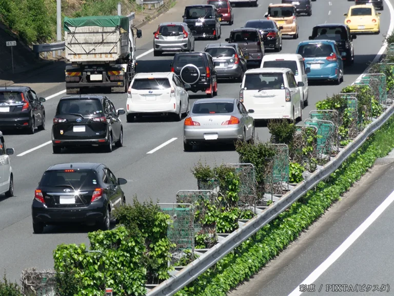 道路の植木の写真